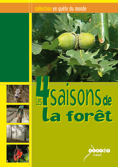 Les 4 saisons de la forêt