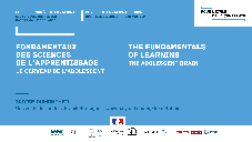 Fondamentaux des sciences de l'apprentissage - Le cerveau de l'adolescent