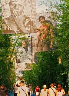 La Forêt des Mânes