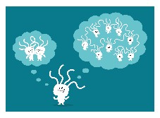 L'attention, ça s'apprend !