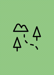 À la découverte de la jungle