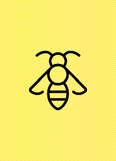 À la découverte des dinosaures