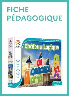 Château logique