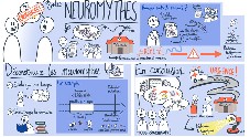 Les neuromythes, c'est quoi ?