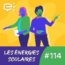 Les Énergies scolaires : L'art de coenseigner