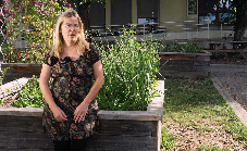 Végétaliser une cour d'école : exemple de mise en œuvre