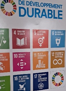 Conception et mise en place de projets de terrain en lien avec les enjeux du développement durable 