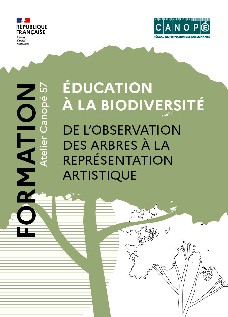 Éducation à la biodiversité : de l'observation des arbres à la représentation artistique