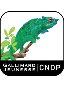 Les animaux de la jungle