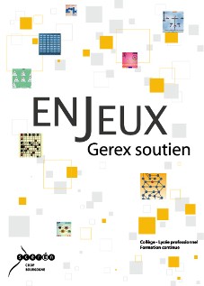 Enjeux