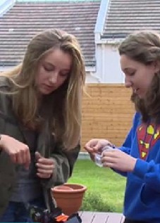 Des outils numériques au service des apprentissages