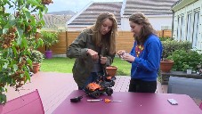 Des outils numériques au service des apprentissages