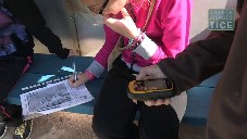 Course d?orientation numérique au CM2