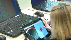 Pratiques d'évaluation innovantes en maternelle : le cahier de réussites numérique