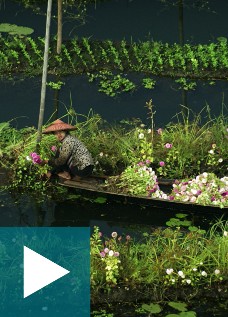 Éducation : Femmes : culture et civilisation